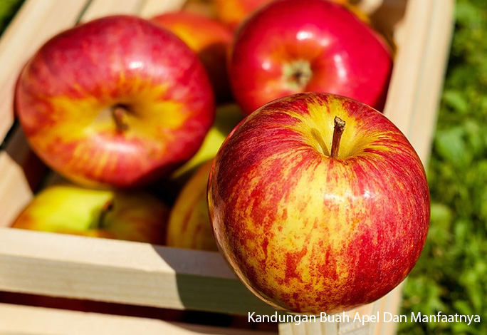 Kandungan Buah Apel Dan Manfaatnya